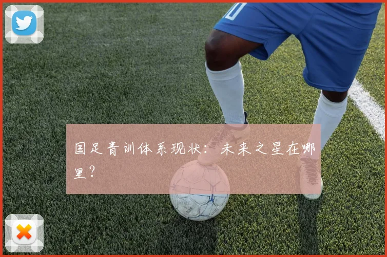 国足青训体系现状：未来之星在哪里？